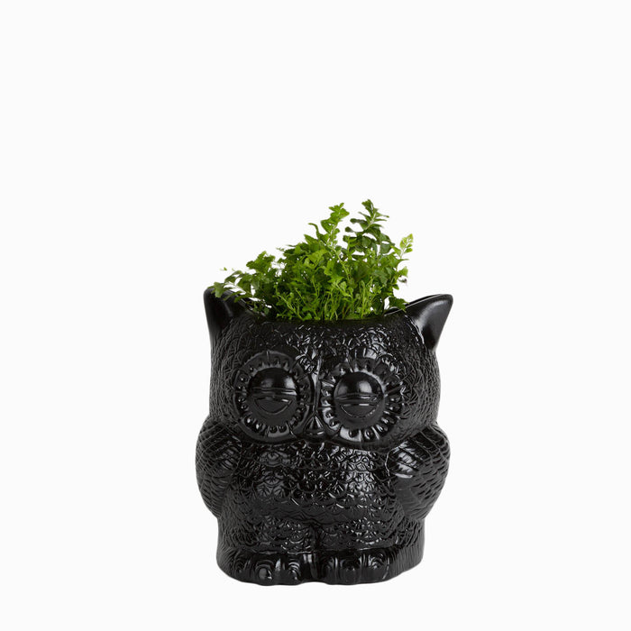 Hoot Owl Pot in Black - Pots & Planters - Estudio Floga - INNOVE
