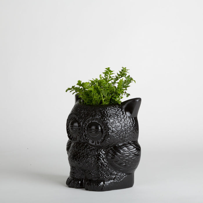 Hoot Owl Pot in Black - Pots & Planters - Estudio Floga - INNOVE