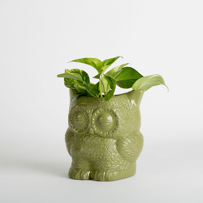 Hoot Owl Pot in Olive - Pots & Planters - Estudio Floga - INNOVE