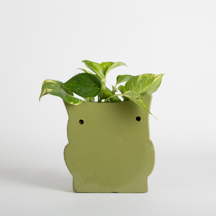Hoot Owl Pot in Olive - Pots & Planters - Estudio Floga - INNOVE