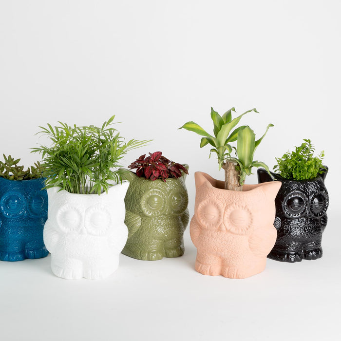 Hoot Owl Pot in Olive - Pots & Planters - Estudio Floga - INNOVE