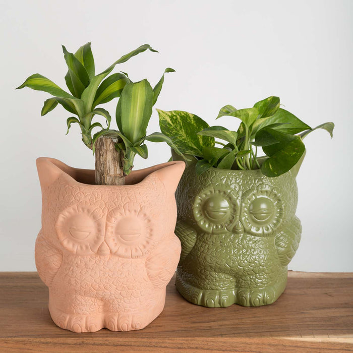 Hoot Owl Pot in Olive - Pots & Planters - Estudio Floga - INNOVE
