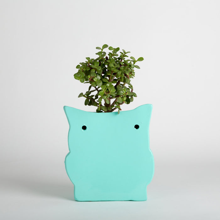 Hoot Owl Pot in Sky - Pots & Planters - Estudio Floga - INNOVE