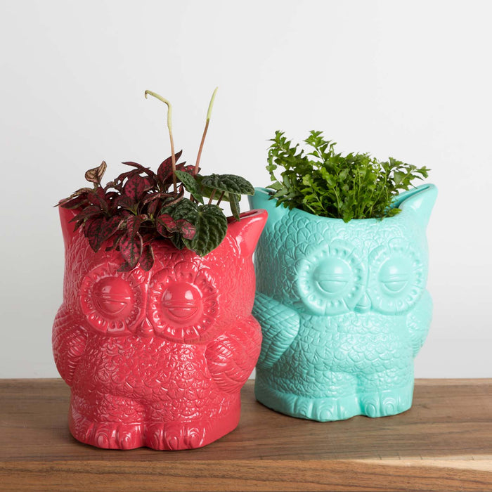 Hoot Owl Pot in Sky - Pots & Planters - Estudio Floga - INNOVE