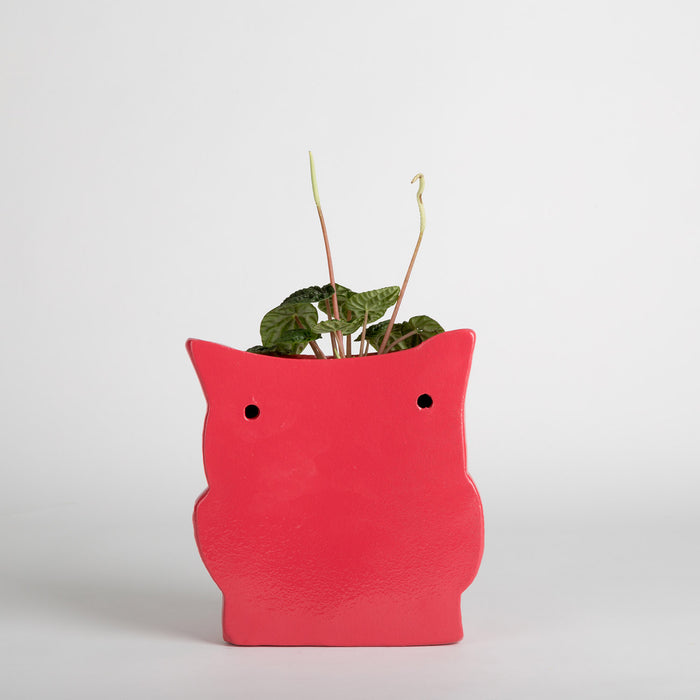 Hoot Owl Pot in Strawberry - Pots & Planters - Estudio Floga - INNOVE