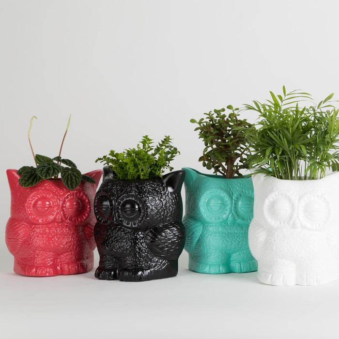 Hoot Owl Pot in Strawberry - Pots & Planters - Estudio Floga - INNOVE