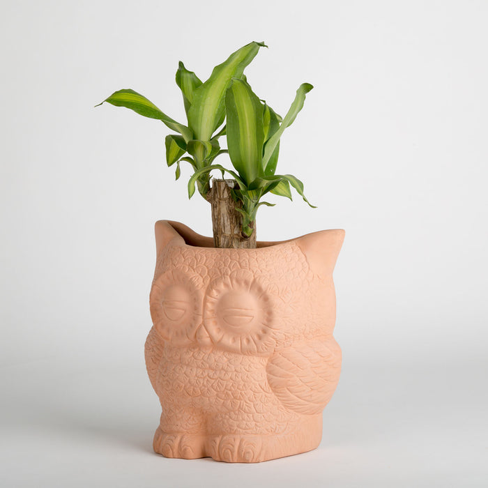 Hoot Owl Pot in Terracotta - Pots & Planters - Estudio Floga - INNOVE