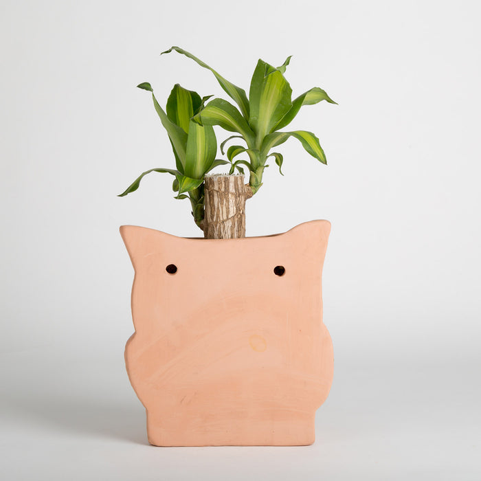 Hoot Owl Pot in Terracotta - Pots & Planters - Estudio Floga - INNOVE