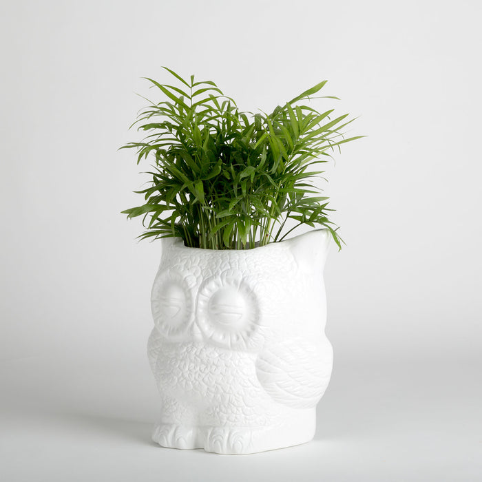 Hoot Owl Pot in White - Pots & Planters - Estudio Floga - INNOVE