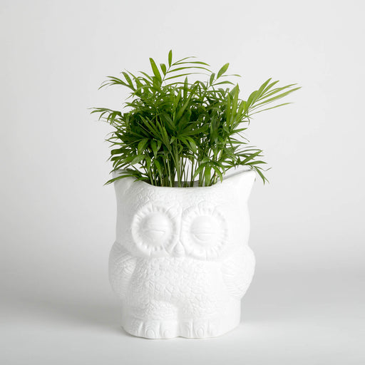 Hoot Owl Pot in White - Pots & Planters - Estudio Floga - INNOVE