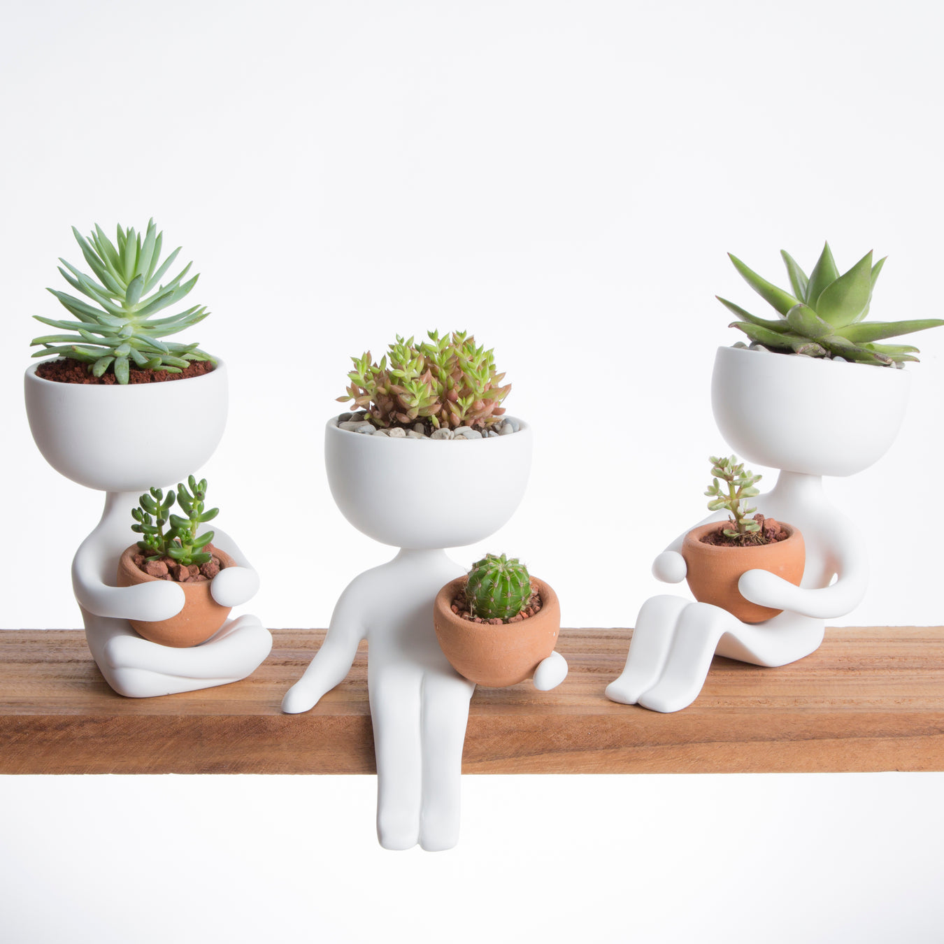 white people pot planters holding small terracotta pot with cacti and succulents