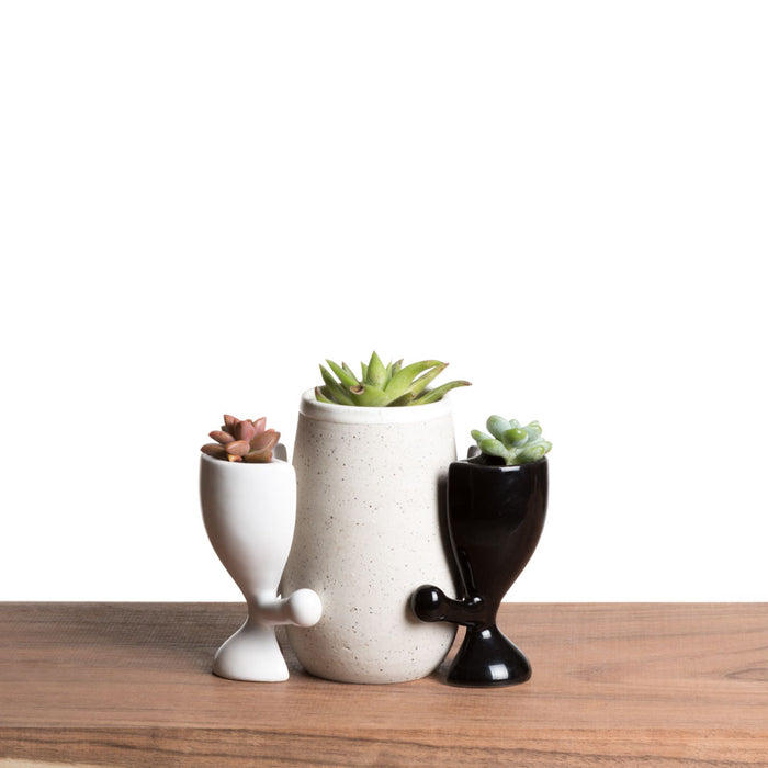 Ashurito Hug Me Pots | Shot Glass Black and White Set of 2 - Pots & Planters - Estudio Floga - INNOVE