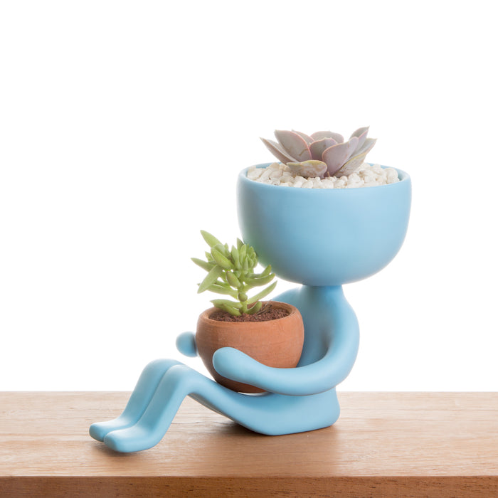 Robert Mool in Blue - Pots & Planters - Estudio Floga - INNOVE