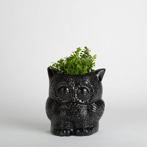 Hoot Owl Pot in Black - Pots & Planters - Estudio Floga - INNOVE