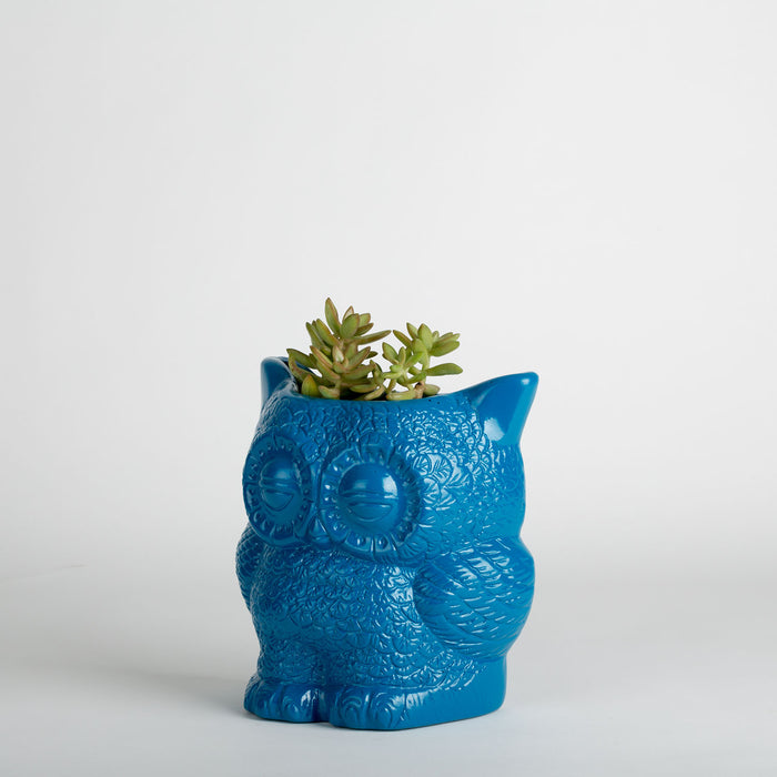 Hoot Owl Pot in Blue - Pots & Planters - Estudio Floga - INNOVE