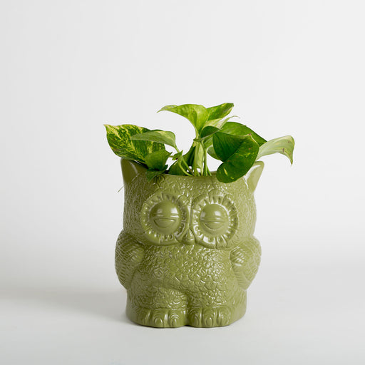 Hoot Owl Pot in Olive - Pots & Planters - Estudio Floga - INNOVE