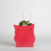 Hoot Owl Pot in Strawberry - Pots & Planters - Estudio Floga - INNOVE