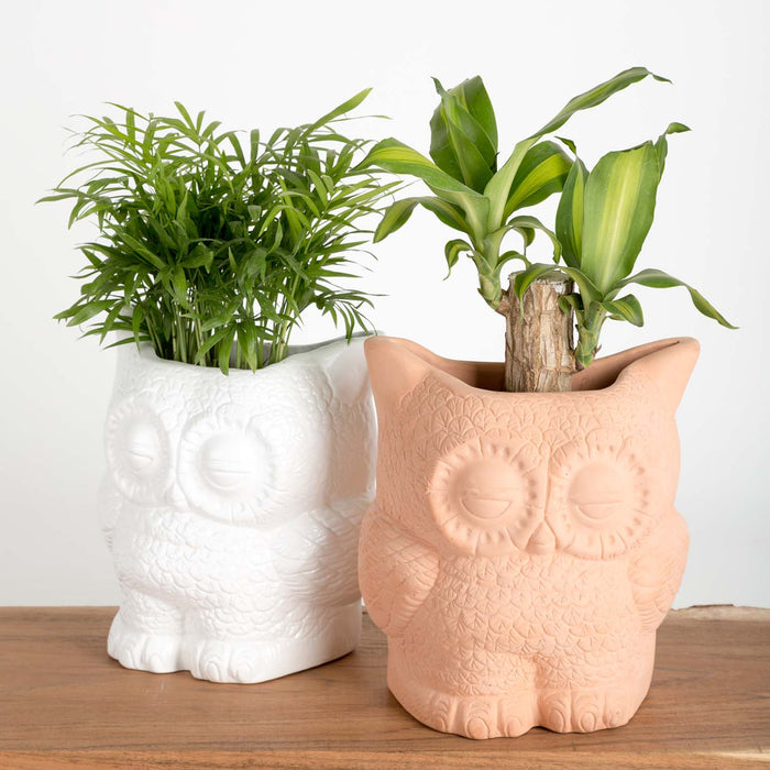 Hoot Owl Pot in White - Pots & Planters - Estudio Floga - INNOVE