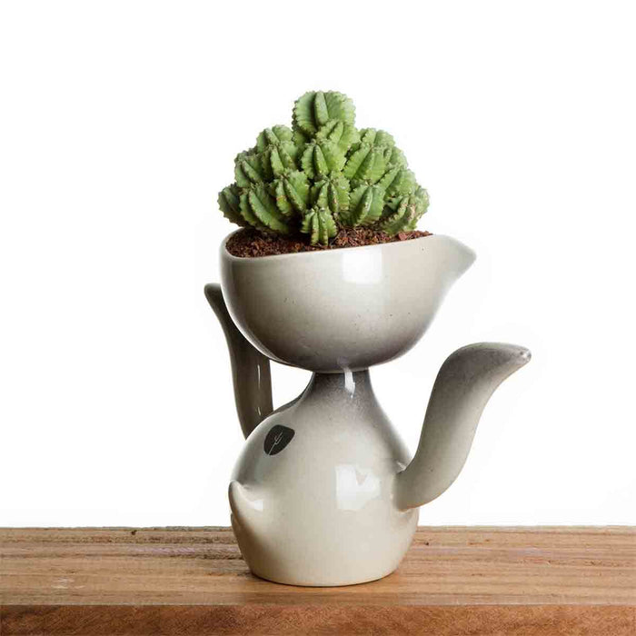 Mr PII Self Watering Pot in Grey - Pots & Planters - Estudio Floga - INNOVE