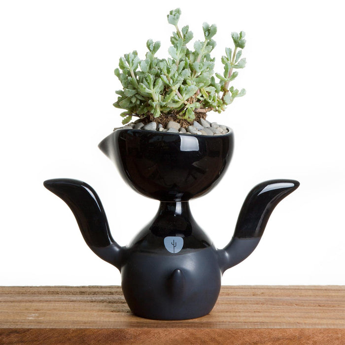 Mr PII Self Watering Pot in Black - Pots & Planters - Estudio Floga - INNOVE