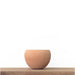 Small Terracotta Pot - Pots & Planters - Estudio Floga - INNOVE